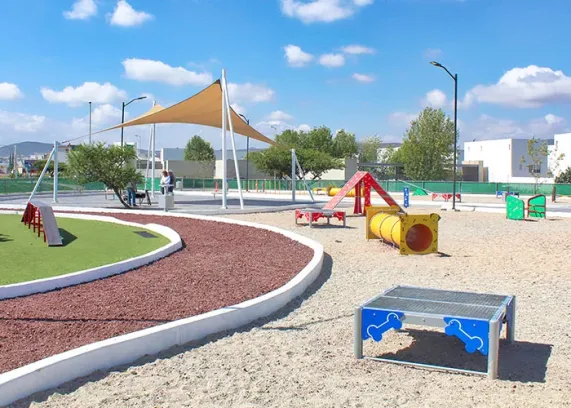 Imagen De Area Para Perros